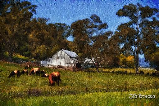 DSC26246-a2.tif - Carneros White Barn