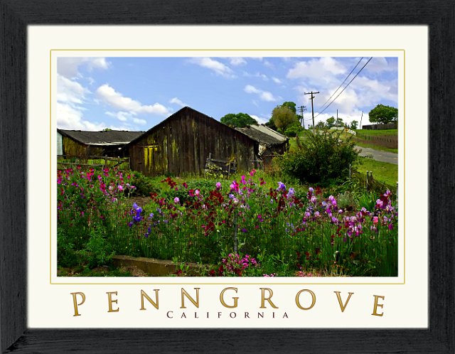 poster-2781-1216-l.jpg - Penngrove