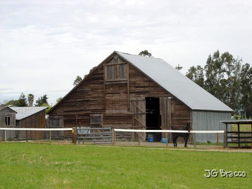 DSC02771.JPG -                                Penngrove