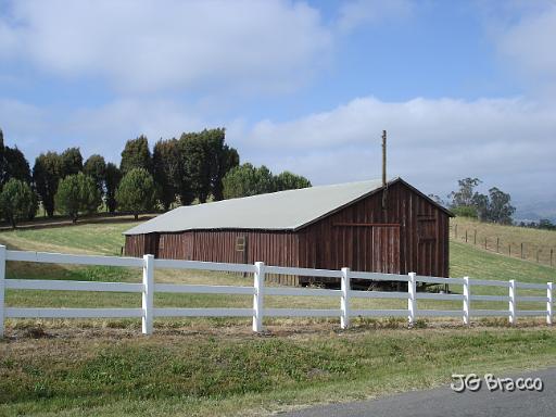 DSC02816.JPG -                                Penngrove