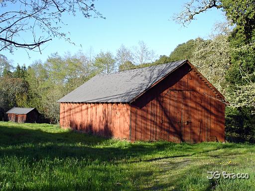 DSC06272.JPG -                                Penngrove