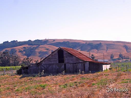 DSC10606.tif - Sonoma