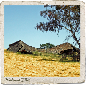 Vanishing Barn, Petaluma