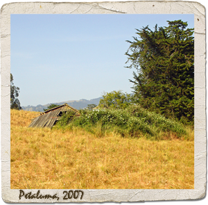 disapearing barn petaluma